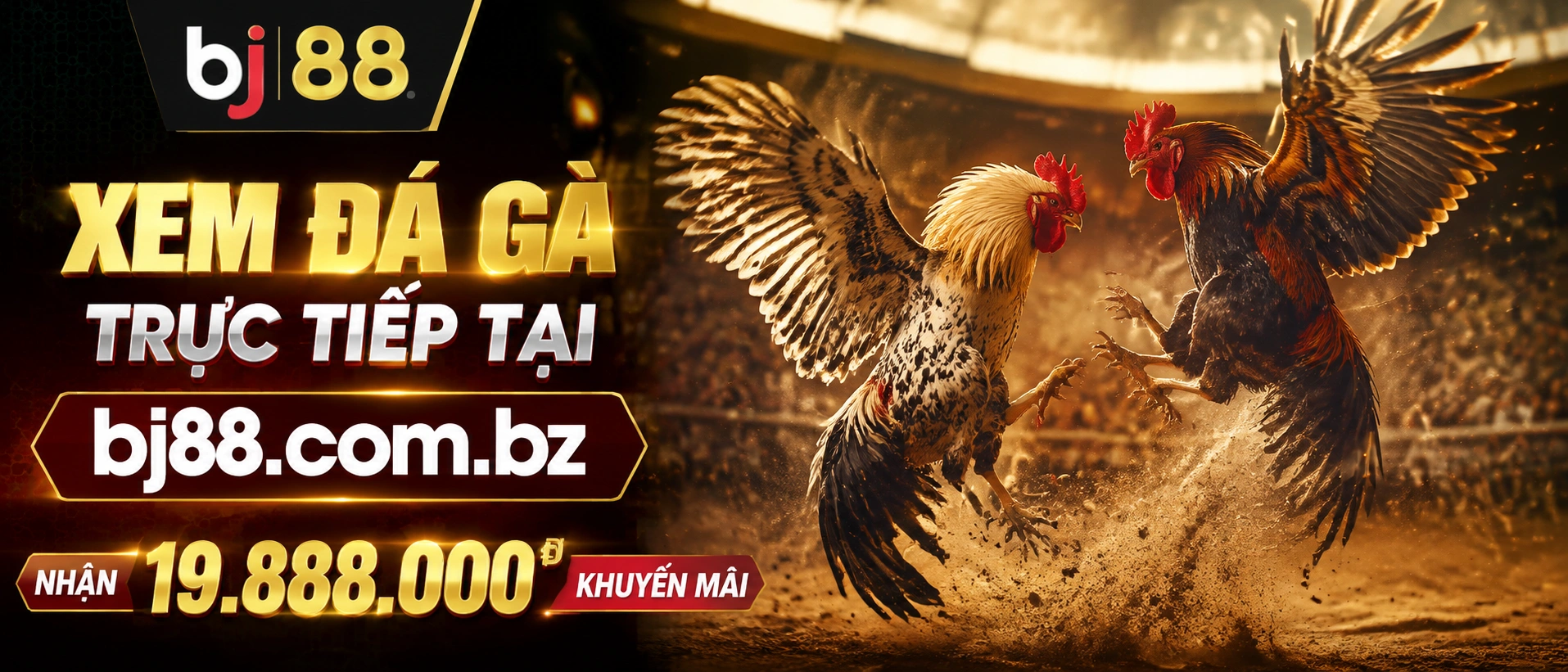 Đá Gà Thomo và phòng xem trực tiếp